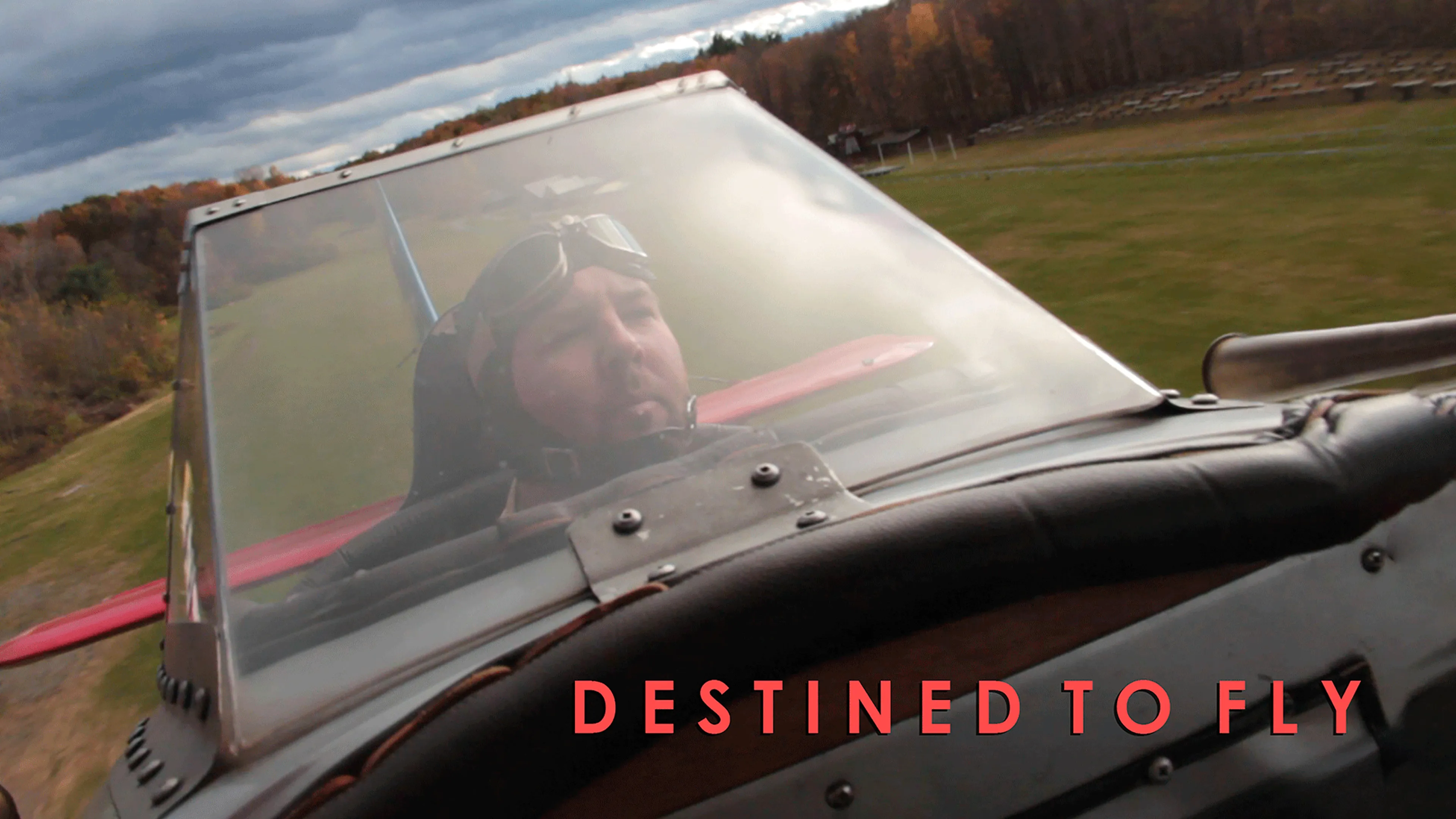 Destined To Fly poster